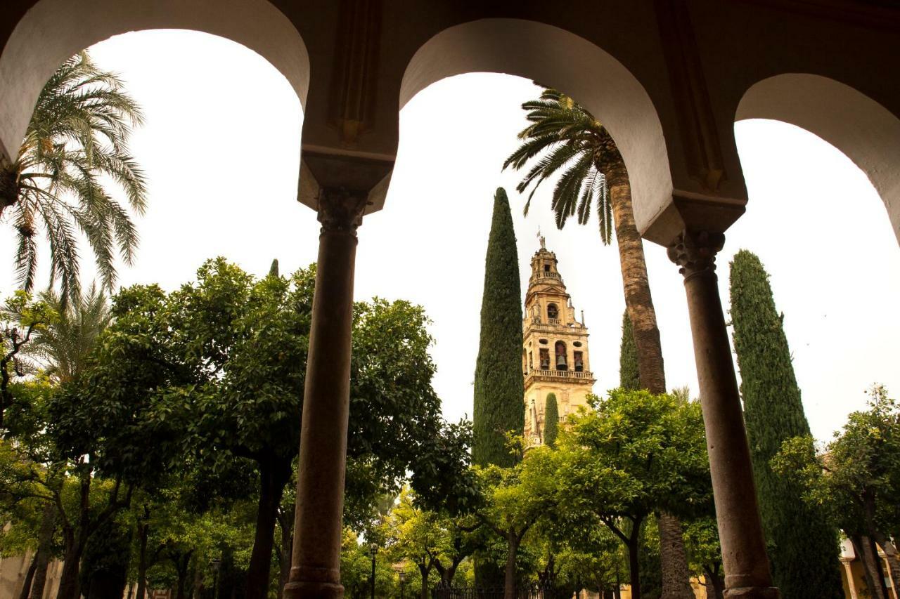 Puerta A La Mezquita Apartment Cordoba